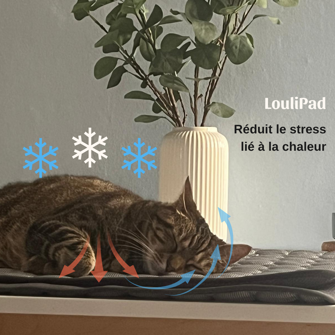 LouliPad