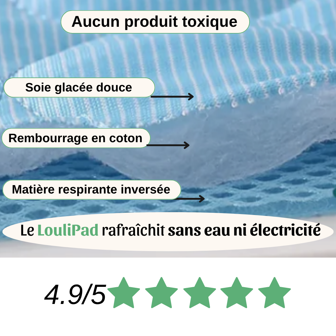 LouliPad