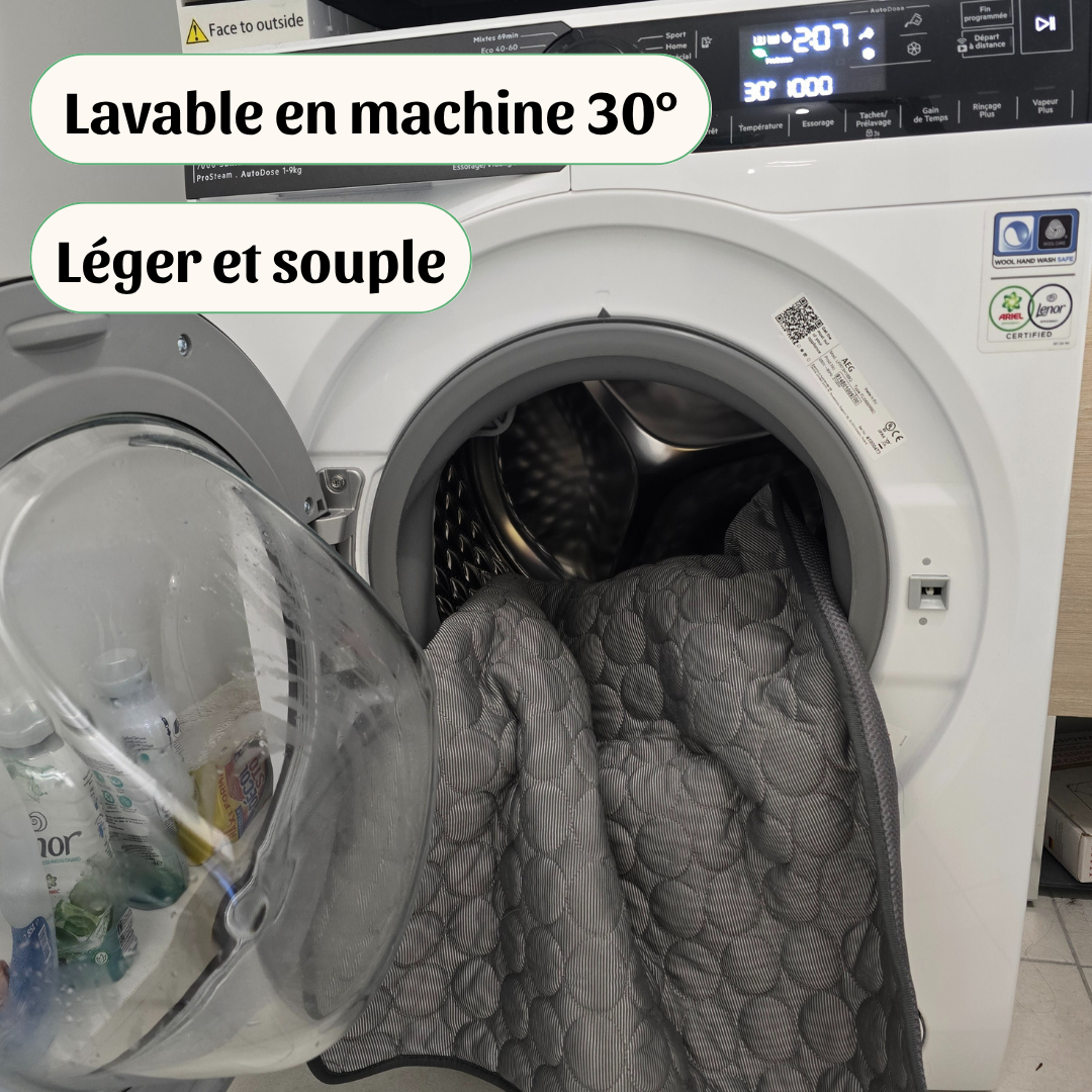 LouliPad
