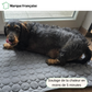 LouliPad